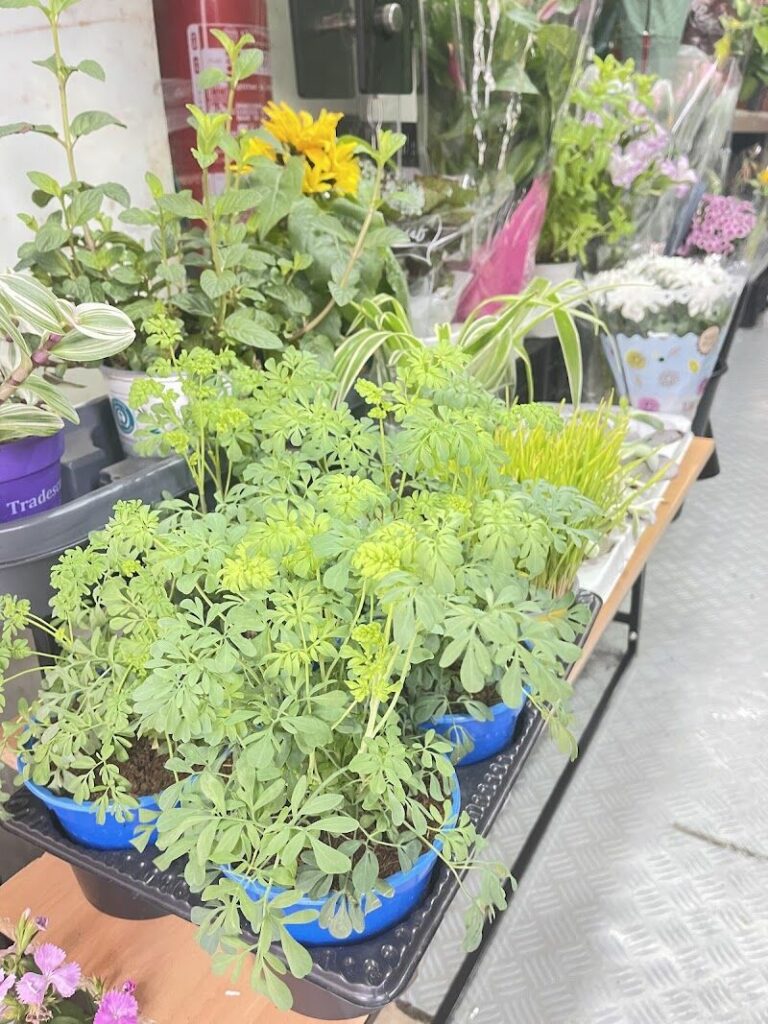 Imagen de Floristería Mil Flores