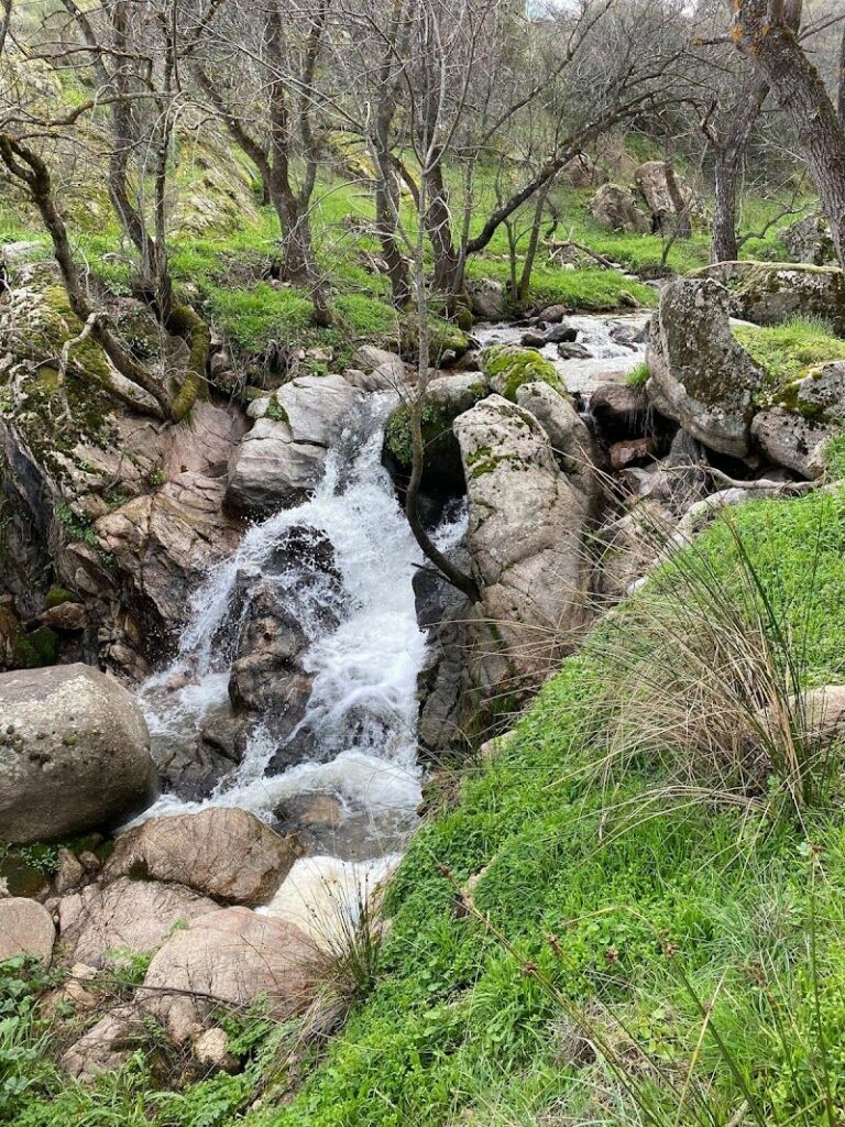 Imagen de Alojamiento Toledo Hostal Royal Almorox