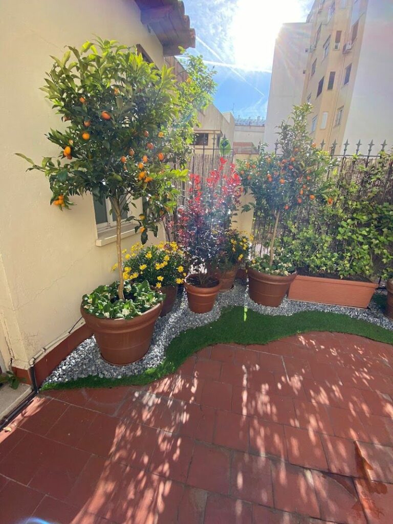 Imagen de Academia Balance