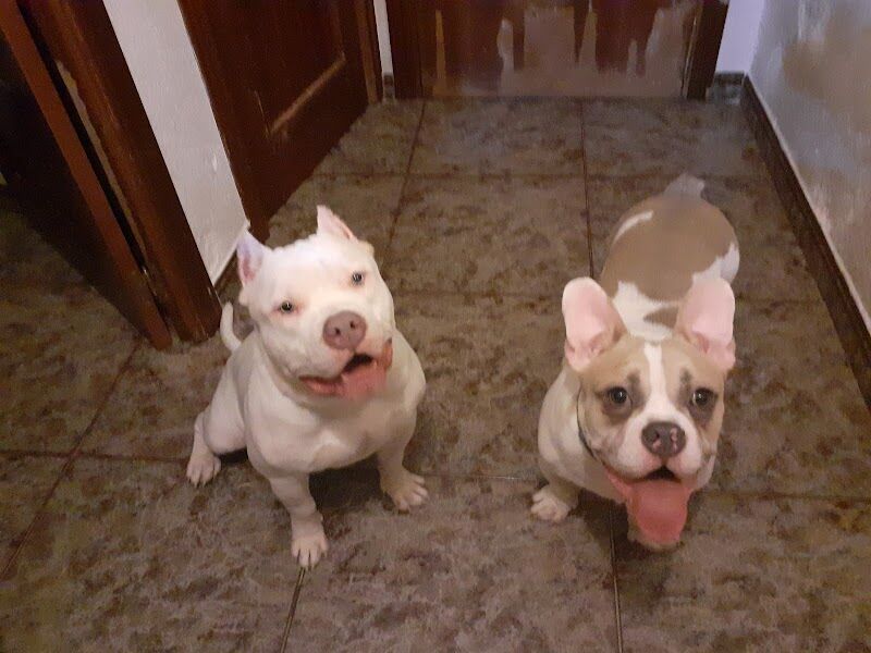 Imagen de Alameda Clínica Veterinaria