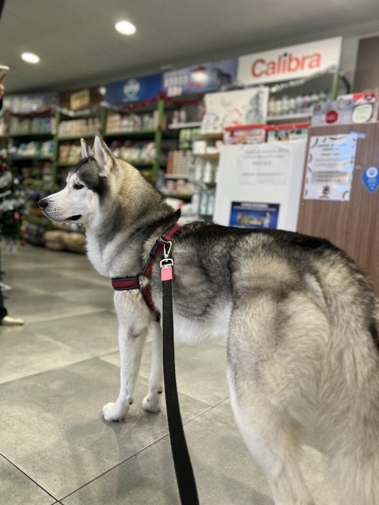 Imagen de Alameda Clínica Veterinaria