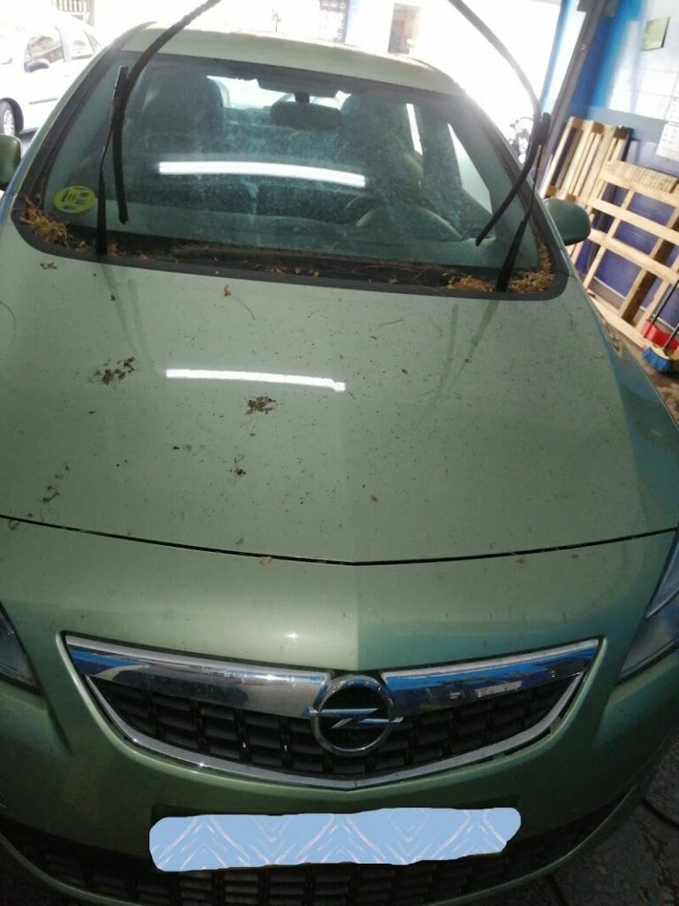 Imagen de Lavadero Rueda