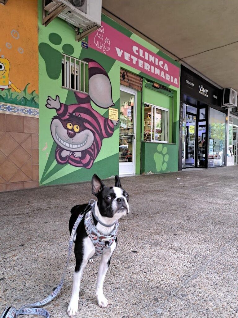 Imagen de Clínica Veterinaria las Rosas