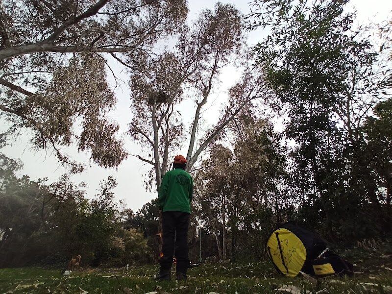 Imagen representativa de la localización