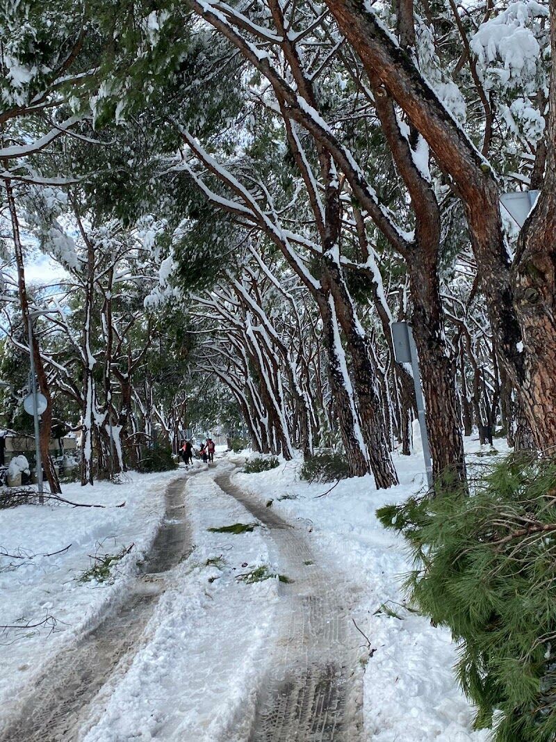 Imagen representativa de la localización