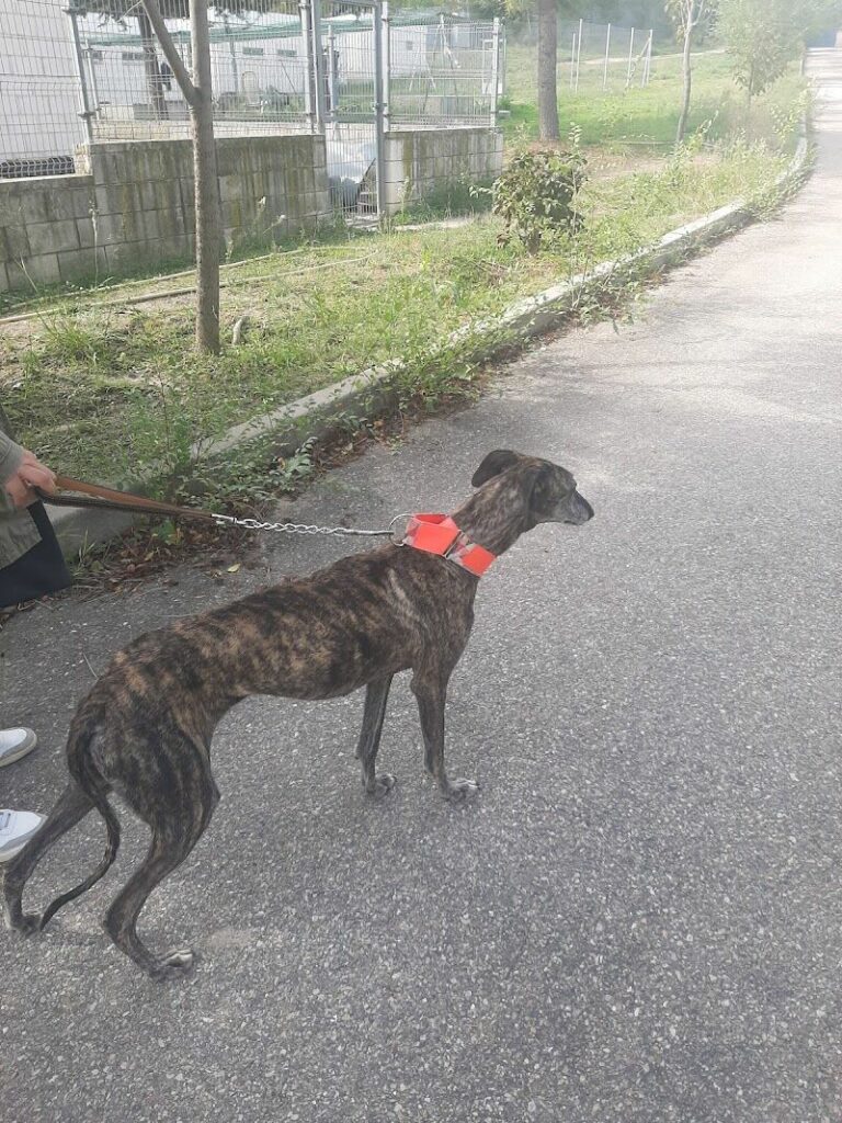 Imagen de Albergue San Francisco de Asis