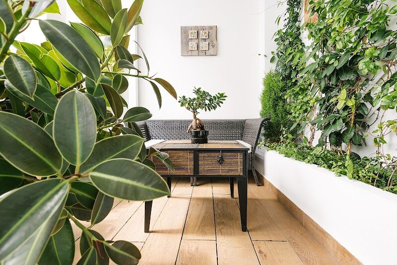 Imagen de Apartamentos Barracart