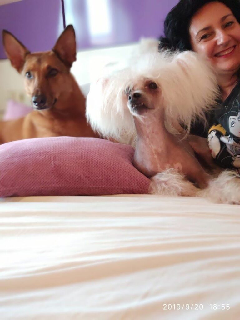 Imagen de Clínica Veterinaria Gran Ademuz