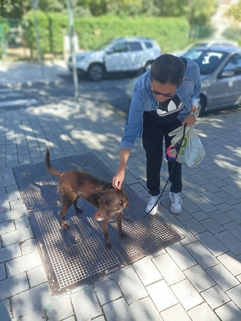 Imagen de negocio en Paseo de perros en Sevilla