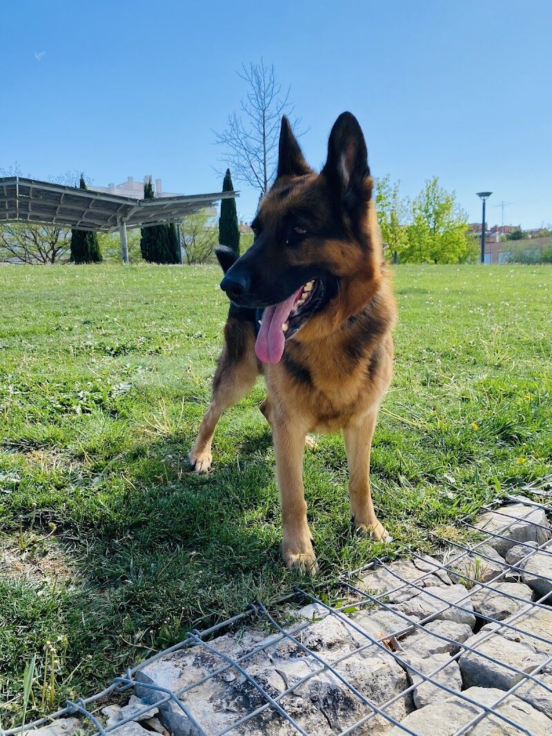 Imagen de negocio en Guardería para mascotas en Huesca