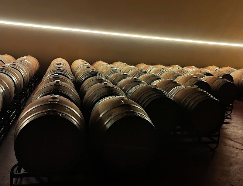 Imagen de negocio en Bodega en Provincia de Huesca