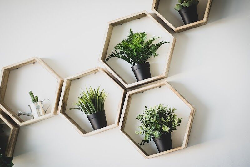 Imagen de Rompiendo Dietas, Psiconutrición y Salud Integrativa