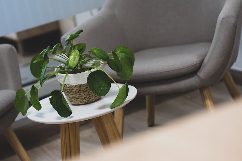 Imagen de Rompiendo Dietas, Psiconutrición y Salud Integrativa