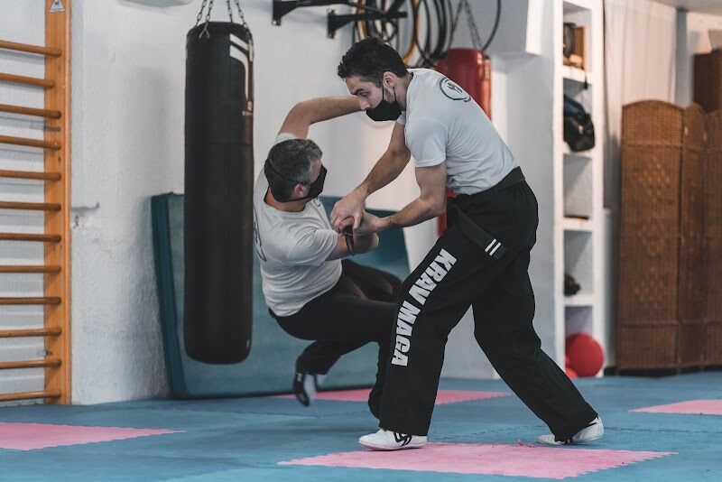 Imagen de Krav Maga Aragón (huesca)