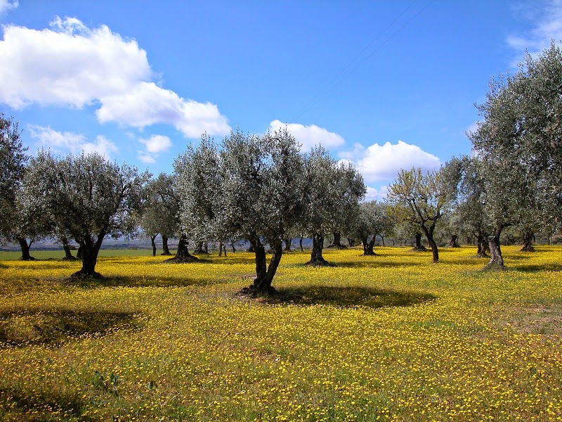 Imagen representativa de la localización