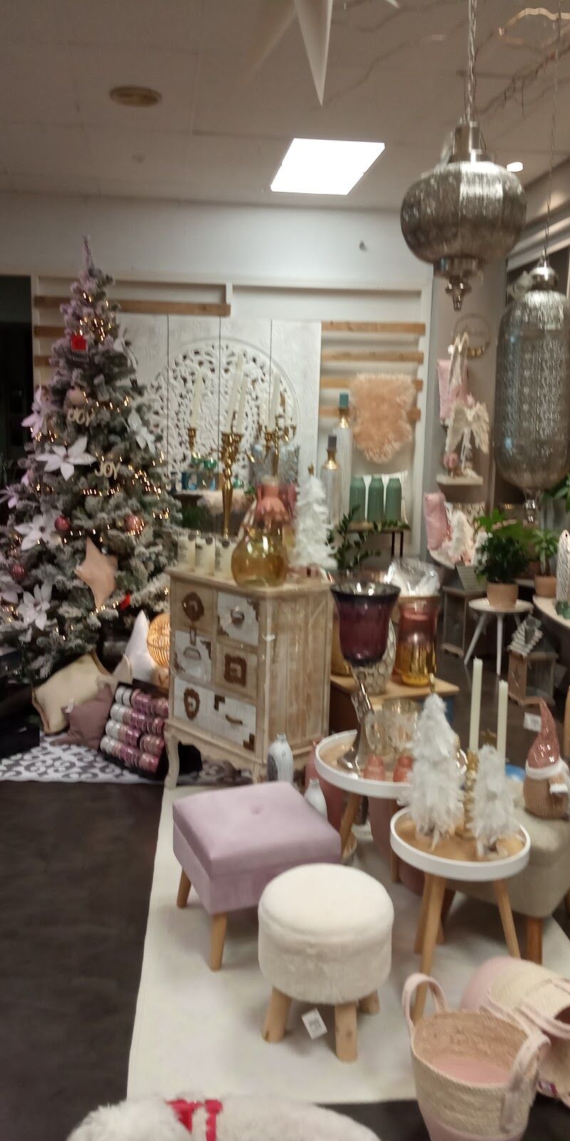 Imagen de Flores Castillón Sl