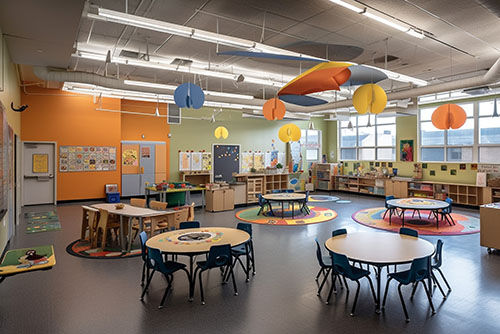 Imagen de Netegescor