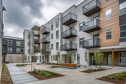 Imagen de Netegescor