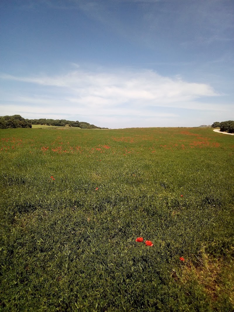 Imagen representativa de la localización