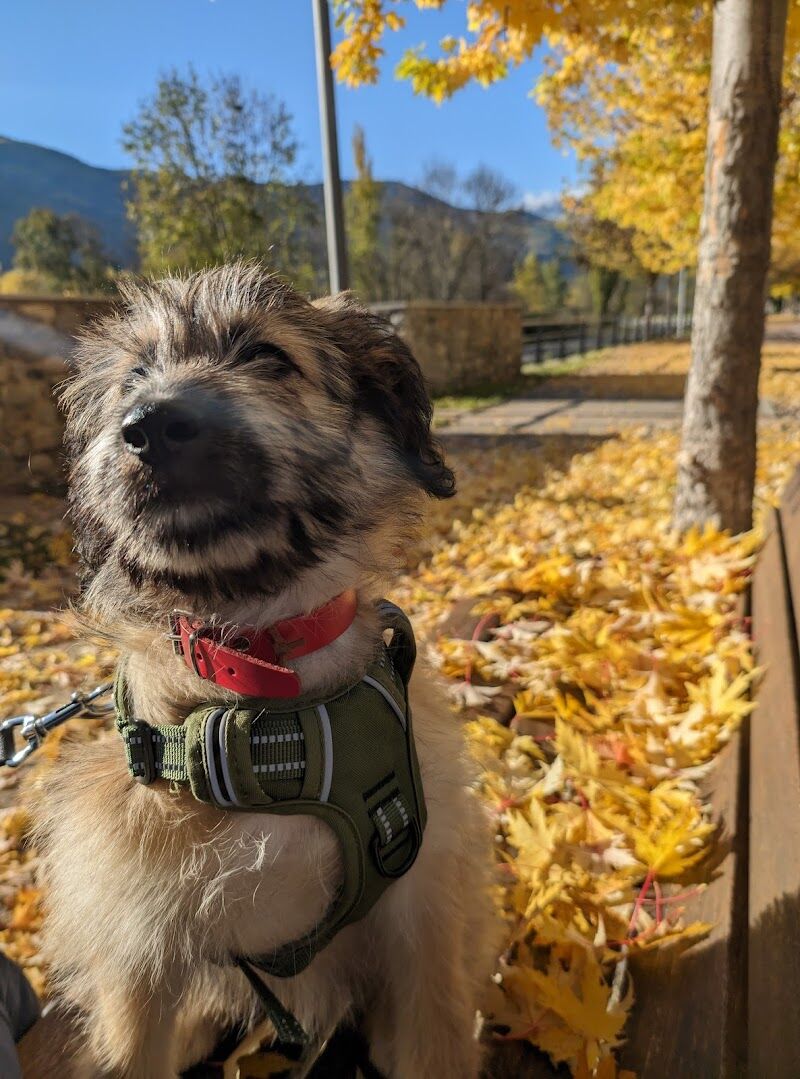 Imagen de El Arca de Santi