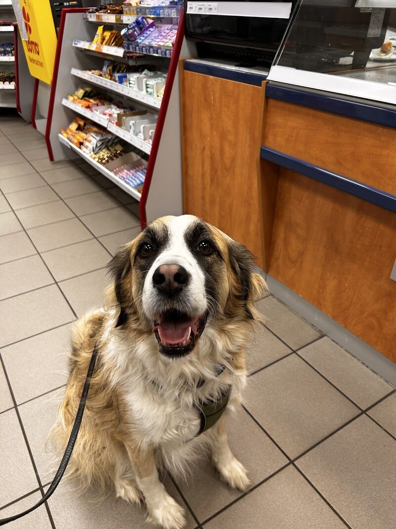 Imagen de El Arca de Santi