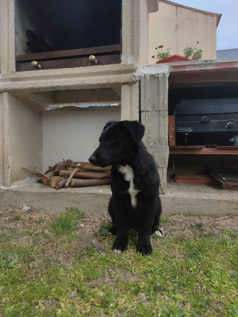 Imagen de El Arca de Santi