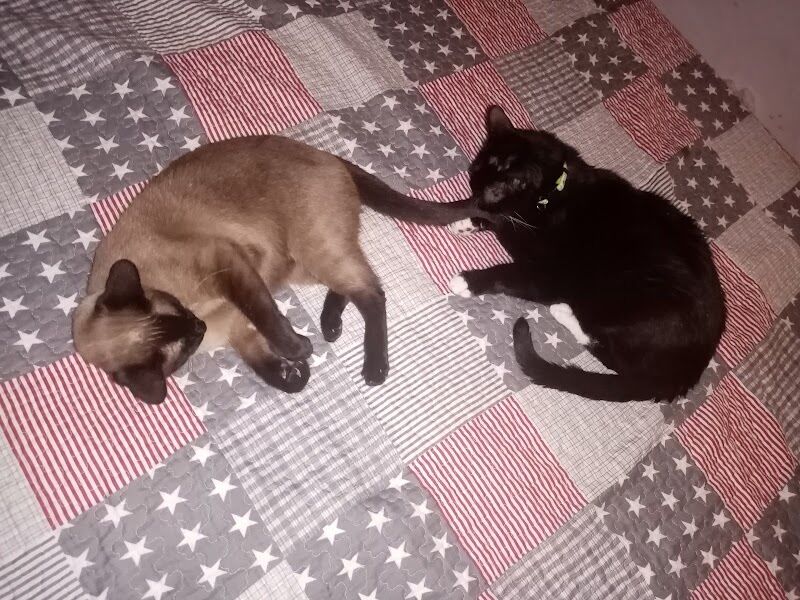 Imagen de El Arca de Santi