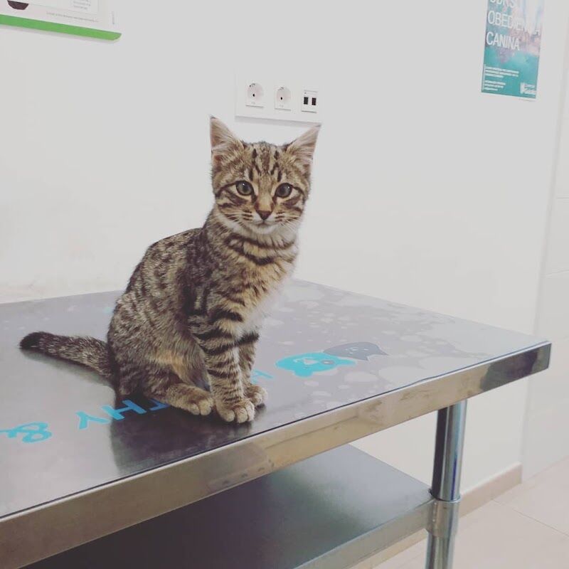 Imagen de Clínica Veterinaria y Peluquería Canina Guiralpet