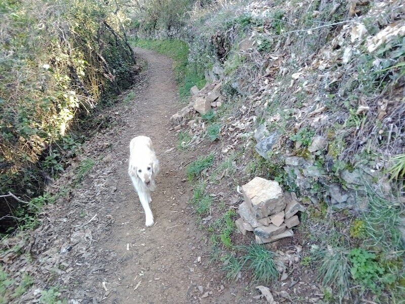 Imagen representativa de la localización