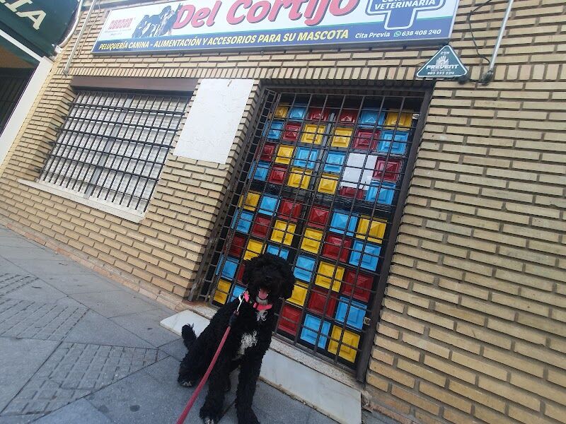 Imagen de negocio en Adiestramiento de mascotas en Huelva