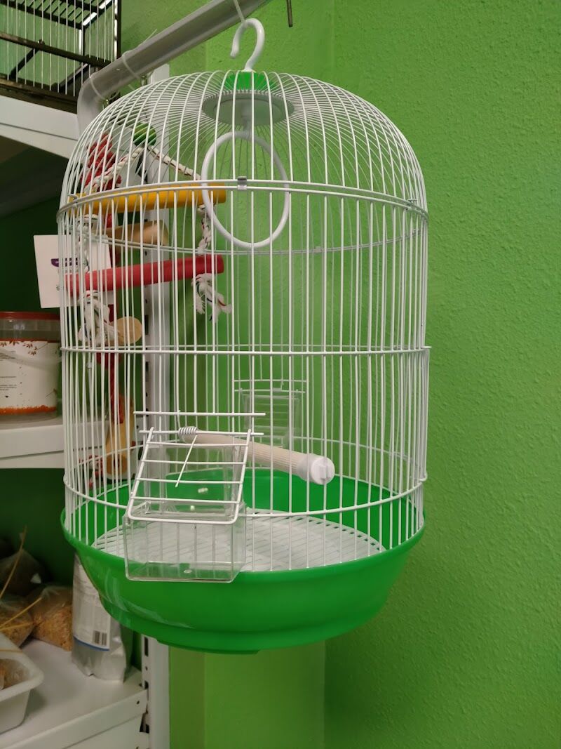 Imagen de Mascotas Isla Chica