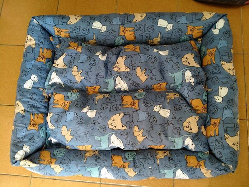 Imagen de Mascotas Isla Chica