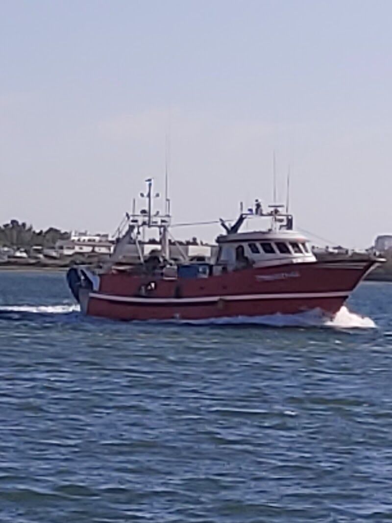 Imagen de Mateos Arquitectos – Arquitecto en Ayamonte