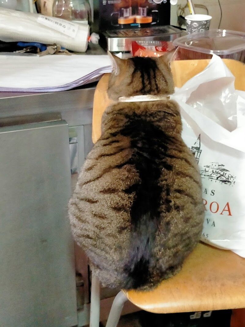 Imagen de Bodegas Cruz Liroa