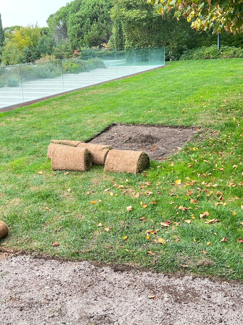 Imagen de negocio en Jardinería en Miraflores de la Sierra