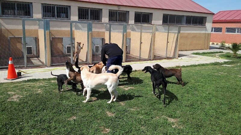 Imagen de C.p.a. de Fuenlabrada