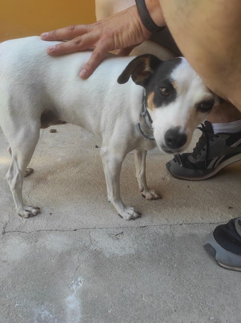 Imagen de C.p.a. de Fuenlabrada