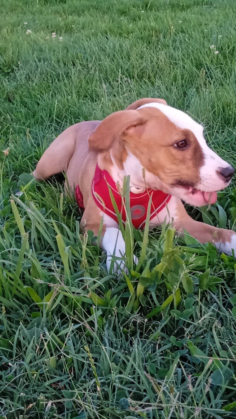 Imagen de C.p.a. de Fuenlabrada