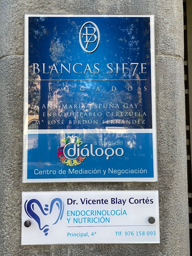 Imagen de Vicente Blay Cortés
