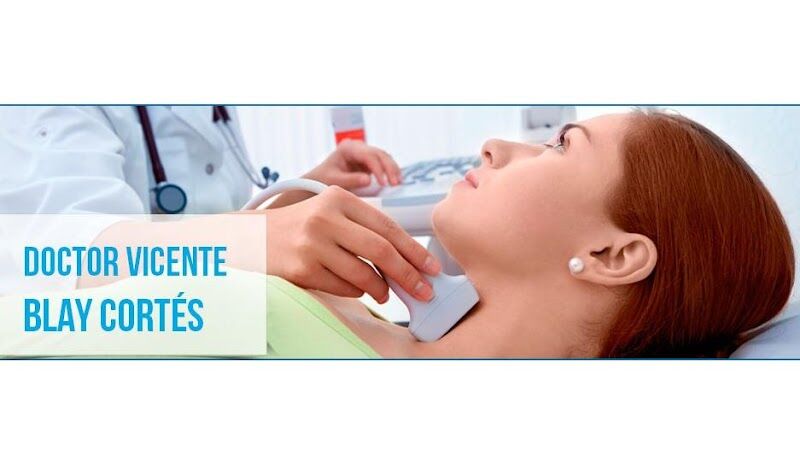 Imagen de Vicente Blay Cortés