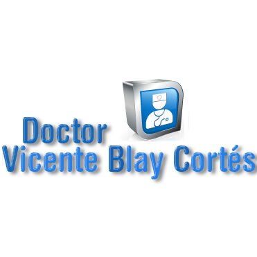 Imagen de Vicente Blay Cortés