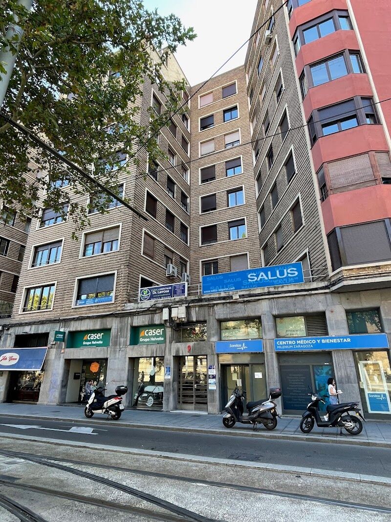 Imagen de Vicente Blay Cortés