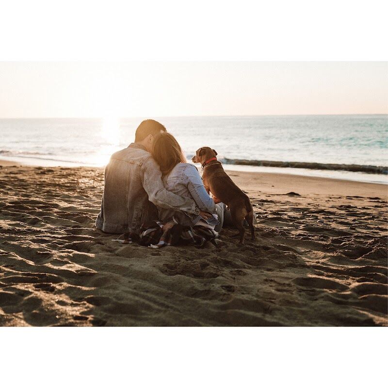 Imagen de Flare Project, Visual Art & Photography