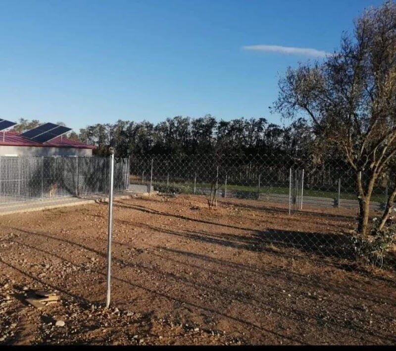 Imagen de Dididog – Guardería Canina