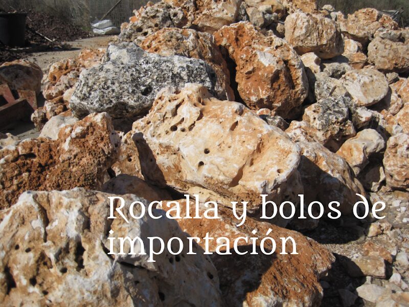 Imagen de Piedra Decorativa para Jardín Envasados Endeaga