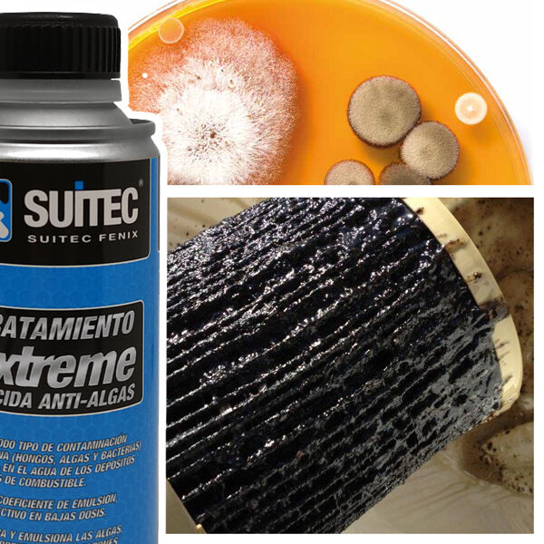 Imagen de Suitec Fénix, S.l