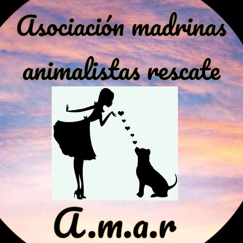 Imagen de Asociación Madrinas Amar