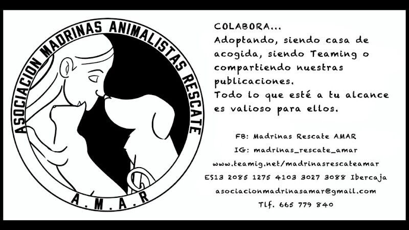 Imagen de Asociación Madrinas Amar
