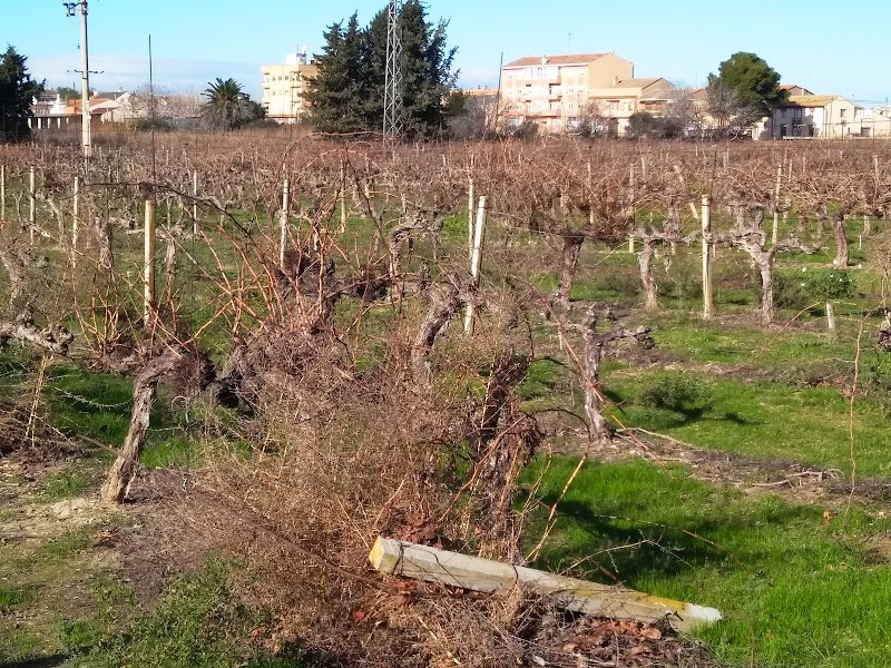 Imagen representativa de la localización