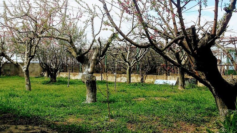 Imagen representativa de la localización